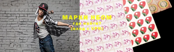 mix Богородицк