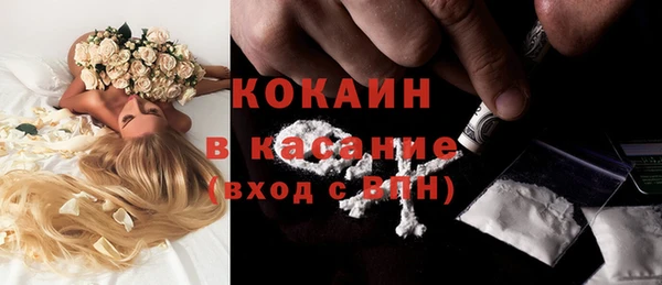 спиды Богданович