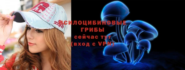 спиды Богданович