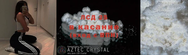 спиды Богданович