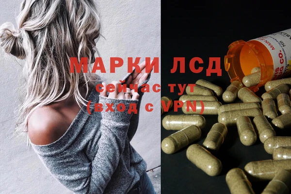спиды Богданович